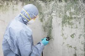 Why You Should Choose Our Mold Remediation Services in Blountville, TN